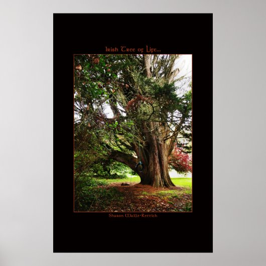 Irish Tree of Life Poster Print (Voorkant)
