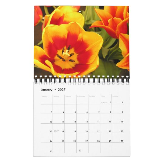 Irish Tulip Festival Calendar Kalender (Jan 2027)