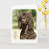 Irish Water Spaniel 9R032D-363 Kaart (Gele Bloem)