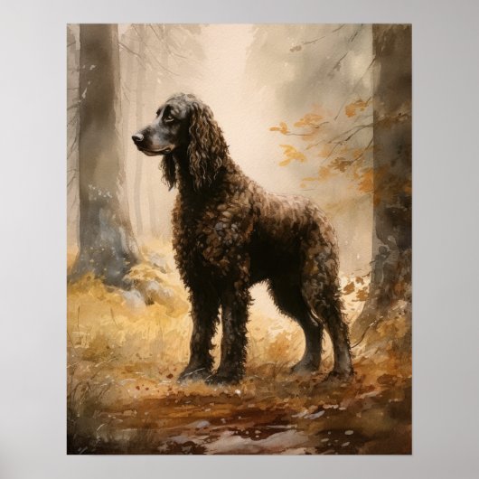 Irish Water Spaniel Dog Art Print Poster (Voorkant)