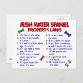 IRISH WATER SPANIEL Eigenschapwetten 2 Briefkaart (Voorkant / Achterkant)