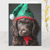 Irish Water Spaniel Elf Puppy Kerst Kaart (Gele Bloem)