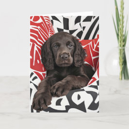 Irish Water Spaniel Puppy Valentijn Kaart