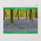 Irish Wildlife Briefkaart (Voorkant)