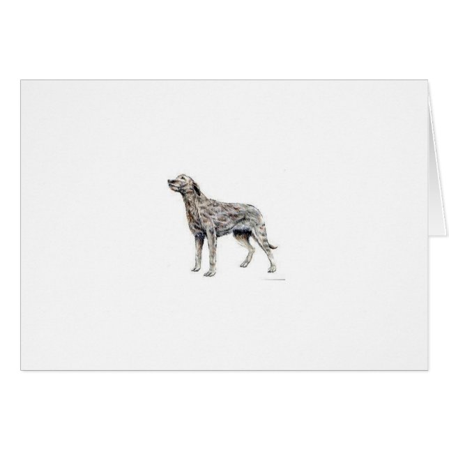 Irish Wolfhound (Voorkant Horizontaal)