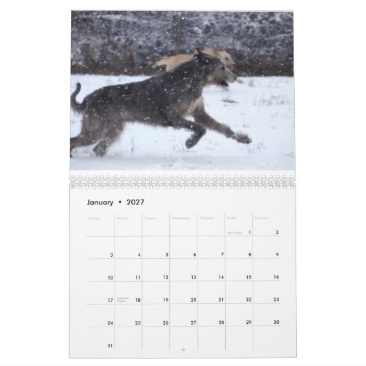 Irish Wolfhound 2012 Kalender (Jan 2027)