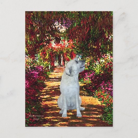 Irish Wolfhound 4 - Het pad Briefkaart (Voorkant)