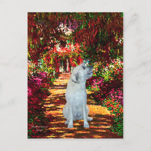 Irish Wolfhound 4 - Pad Briefkaart