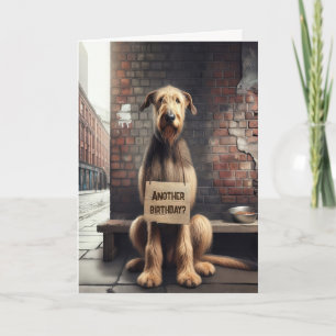 Irish Wolfhound Birthday Humor Kaart