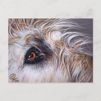 Irish Wolfhound Briefkaart