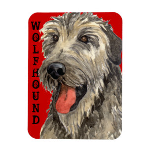 Irish Wolfhound Color Block Magneet
