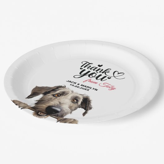 Irish Wolfhound Dog Papieren Bordje (Gekanteld)