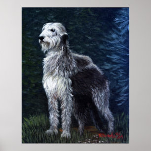 Irish Wolfhound Dog Portrait Poster