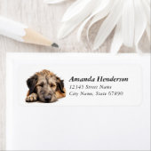 Irish Wolfhound Dog Retour Adreslabels Etiket (Insitu)