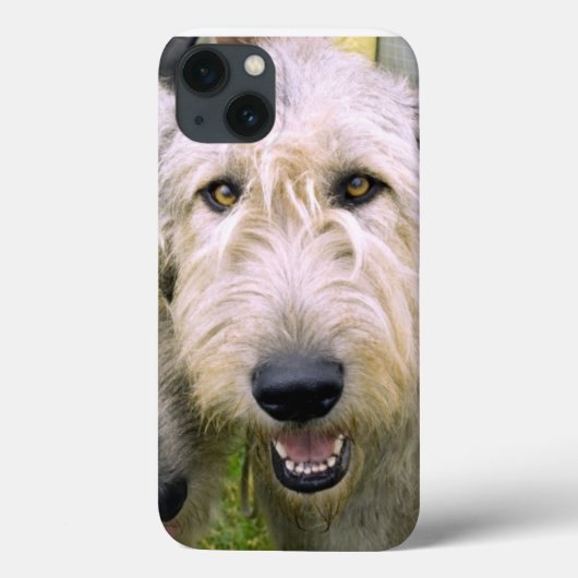 Irish Wolfhound-foto Case-Mate iPhone Case (Achterkant)