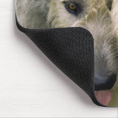 Irish Wolfhound-foto Muismat (Hoek)