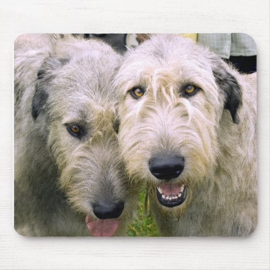 Irish Wolfhound-foto Muismat (Voorkant)