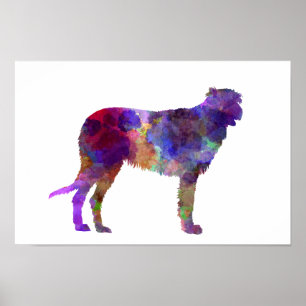 Irish Wolfhound in waterverf Poster