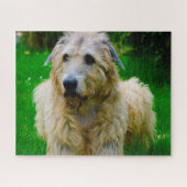 Irish Wolfhound. Legpuzzel (Horizontaal)