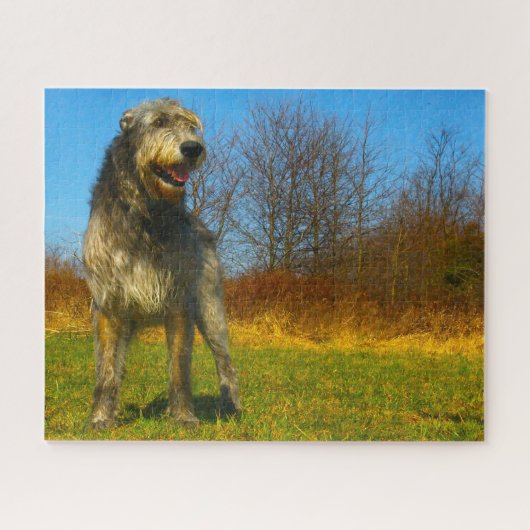 Irish Wolfhound. Legpuzzel (Horizontaal)