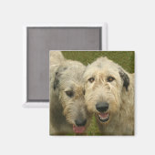 Irish Wolfhound Magneet (Voorkant / Achterkant)
