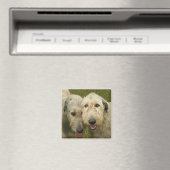 Irish Wolfhound Magneet (Insitu (Vaatwasser))