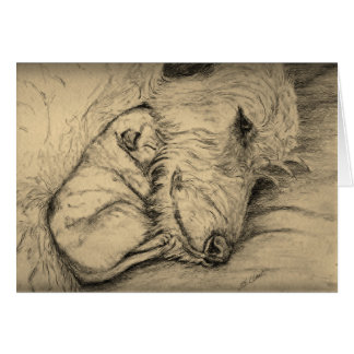 Irish Wolfhound Moeder en Puppy