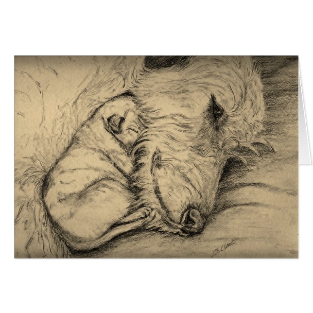 Irish Wolfhound Moeder en Puppy (Voorkant Horizontaal)