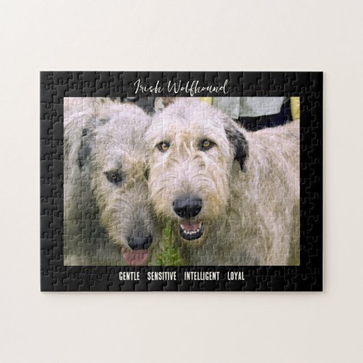 Irish Wolfhound Photo Hondenras Legpuzzel (Horizontaal)