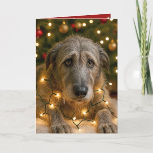 Irish Wolfhound Tangled In Holiday Lights Kaart (Voorkant)