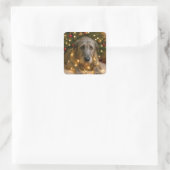 Irish Wolfhound Tangled In Holiday Lights Vierkante Sticker (Tas)
