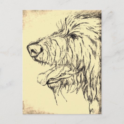 Irish Wolfhound zien aangenaam Briefkaart (Voorkant)