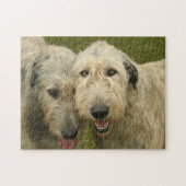 Irish Wolfhounds Foto Legpuzzel (Horizontaal)