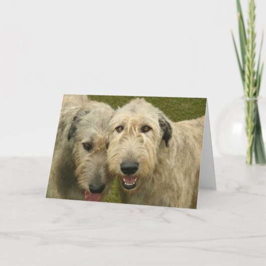 Irish Wolfhounds Kaart (Voorkant)