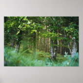 Irish Wood Poster (Voorkant)