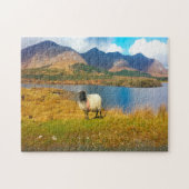 Irish Wooly Sheep Galway Ireland Legpuzzel (Horizontaal)