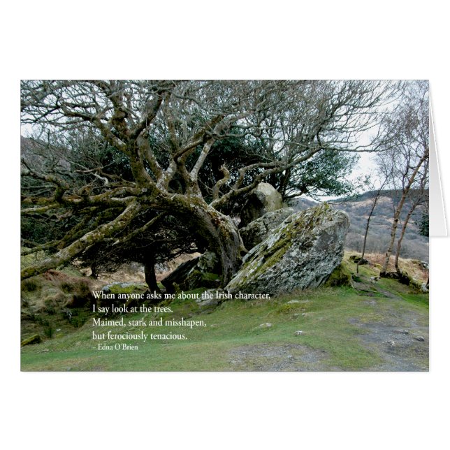 IrishTrees (Voorkant Horizontaal)