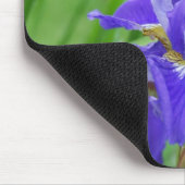 Iriss in de tuin muismat (Hoek)