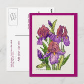 Irisse Waterverf Briefkaart (Voorkant / Achterkant)