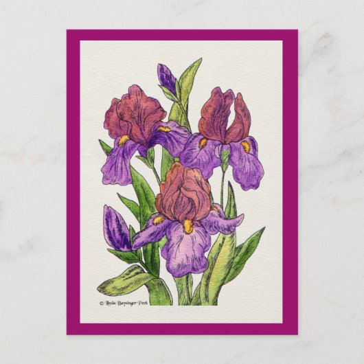 Irisse Waterverf Briefkaart (Voorkant)