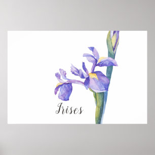 Irisse Waterverf Floral Poster