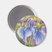 Irissen—Blauw, paarse, geel-groen—Koelkast Magneet (Voorkant / Achterkant)