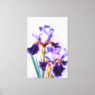 *~* Irissen Bloemen Artsy Schilderen AP84 Iris Canvas Afdruk