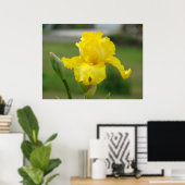IRISSEN Gele Iris Bloemen Kunst Prints Posters (Thuiskantoor)