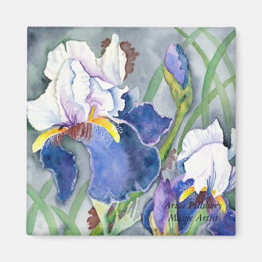 IRISSEN magneet (Voorkant)