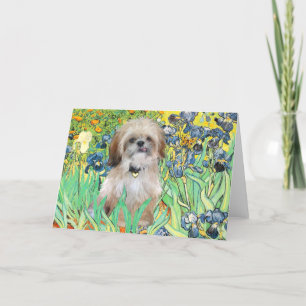 Irissen - Shih Tzu (P) Kaart