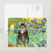 Irissen - Tabby Tijger kat 30 Briefkaart (Voorkant / Achterkant)