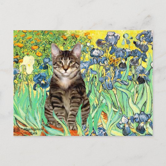 Irissen - Tabby tijgerkat 30 Briefkaart (Voorkant)