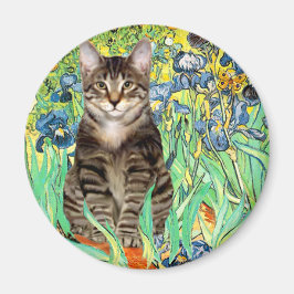 Irissen - Tabby tijgerkat 30 Magneet
