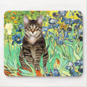 Irissen - Tabby tijgerkat 30 Muismat